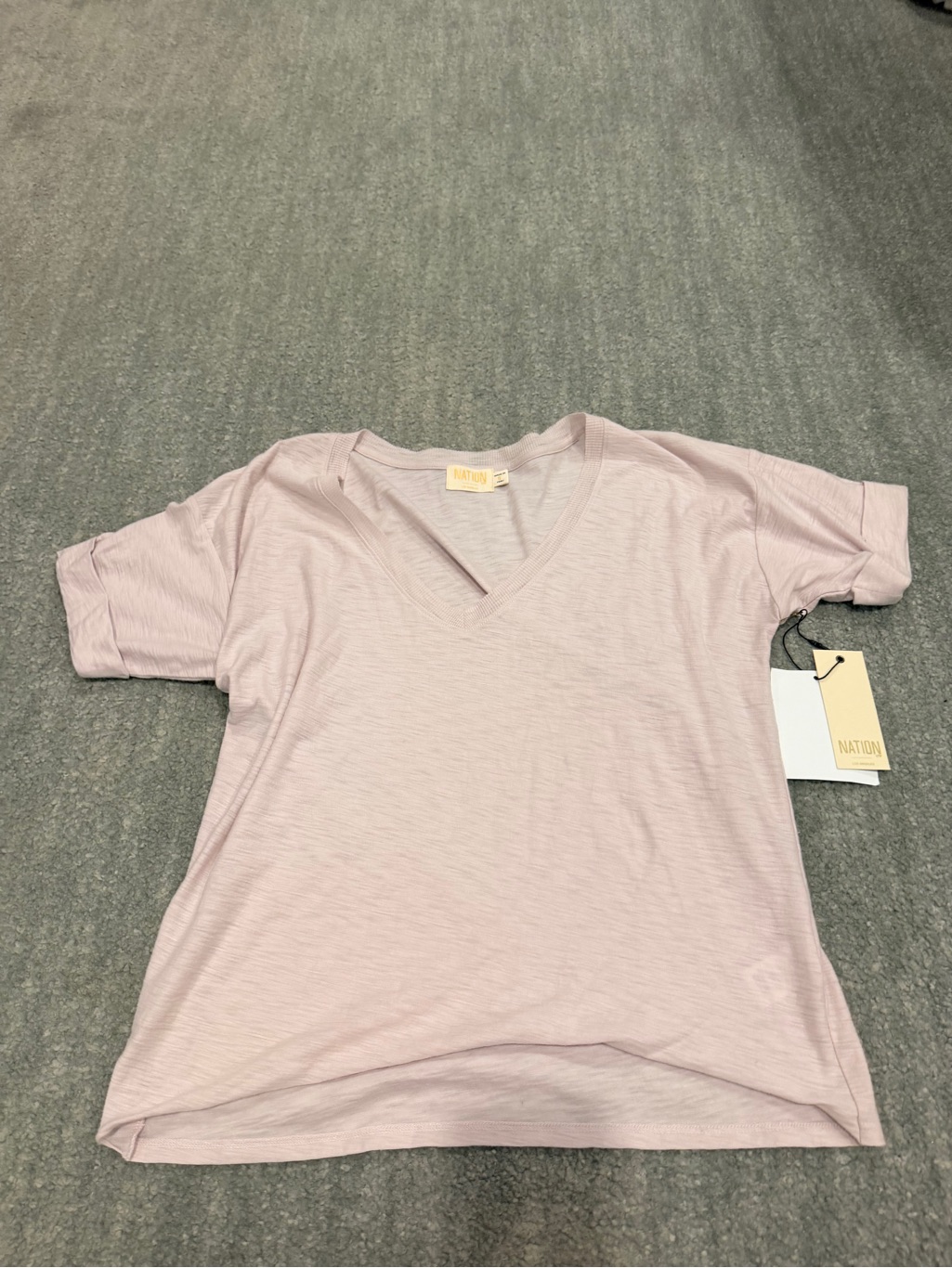Nation Ltd Light Pink V-Neck Short Sleeve Tee Blake Tucked Up